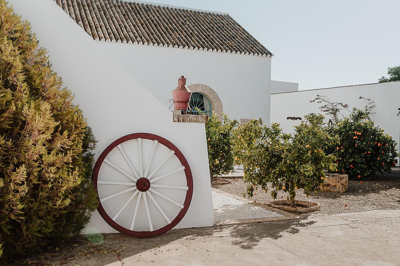 Вілла Cortijo Santa Clara Кармона Екстер'єр фото