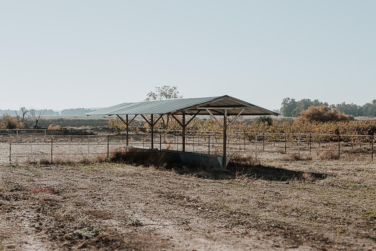 Вілла Cortijo Santa Clara Кармона Екстер'єр фото